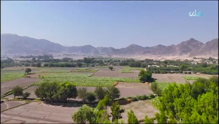 شت مواد مخدر در ولسوالی لعل‌پور ولایت ننگرهار به صفر رسیده است.